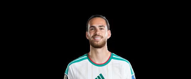 	Ramiz Zerrouki 	